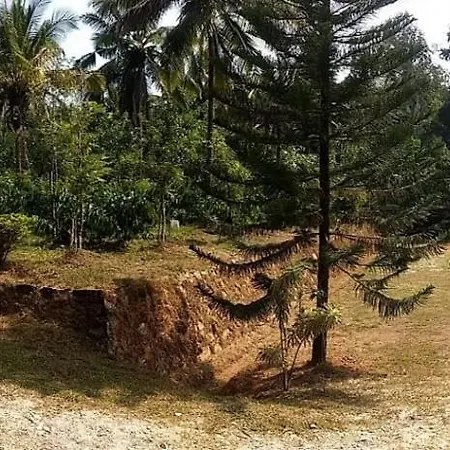 Malnad Bliss Villa Sringeri Exterior photo