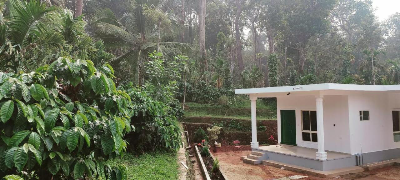 Malnad Bliss Sringeri