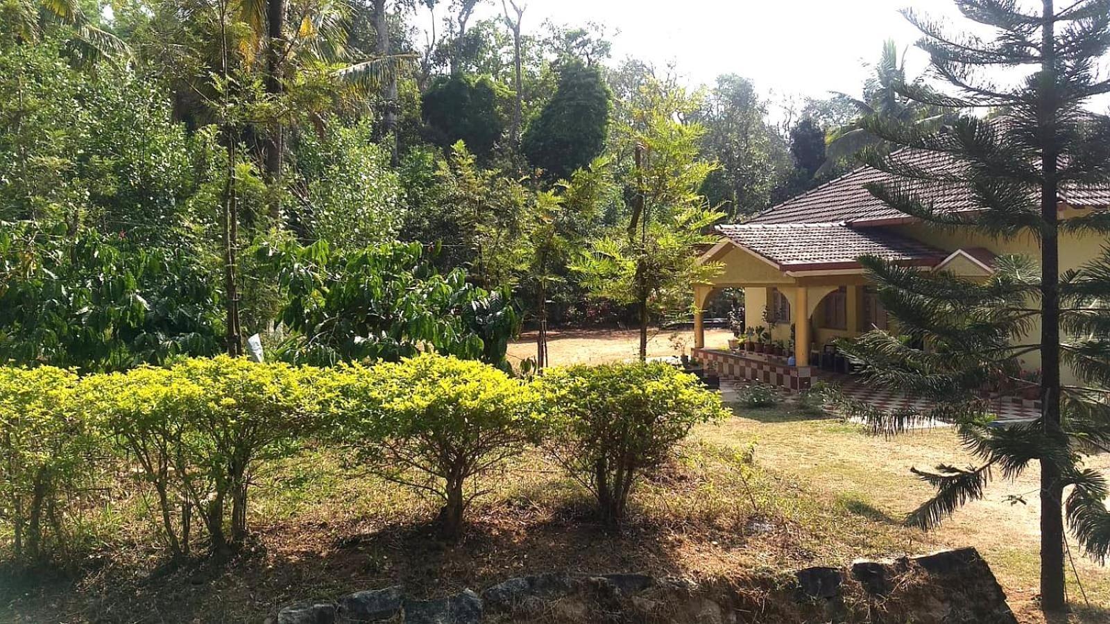 Malnad Bliss Sringeri